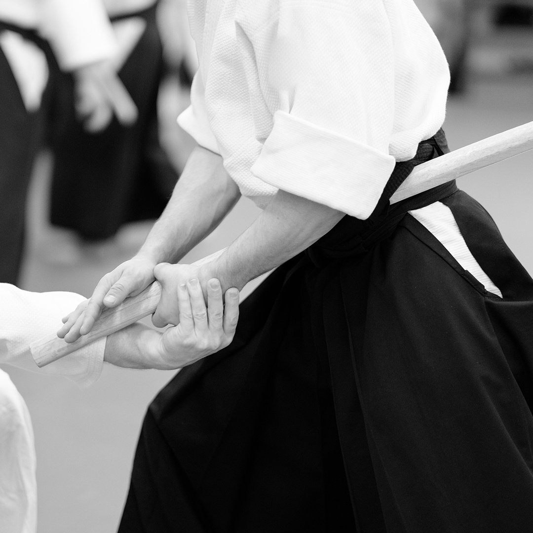 //judoancesnovate.it/wp-content/uploads/2022/09/img_aikido.png